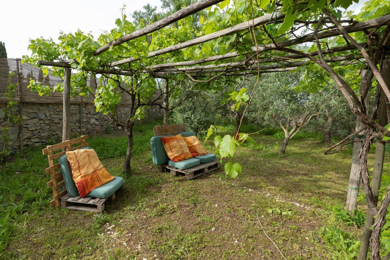 Casale Rosmarino Hotel Suvereto Exterior photo